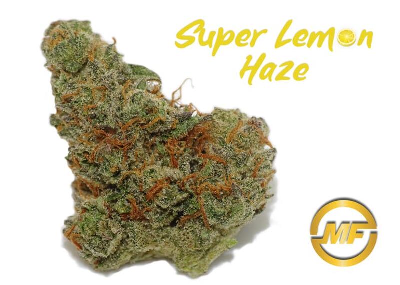 (REC) Super Lemon Haze