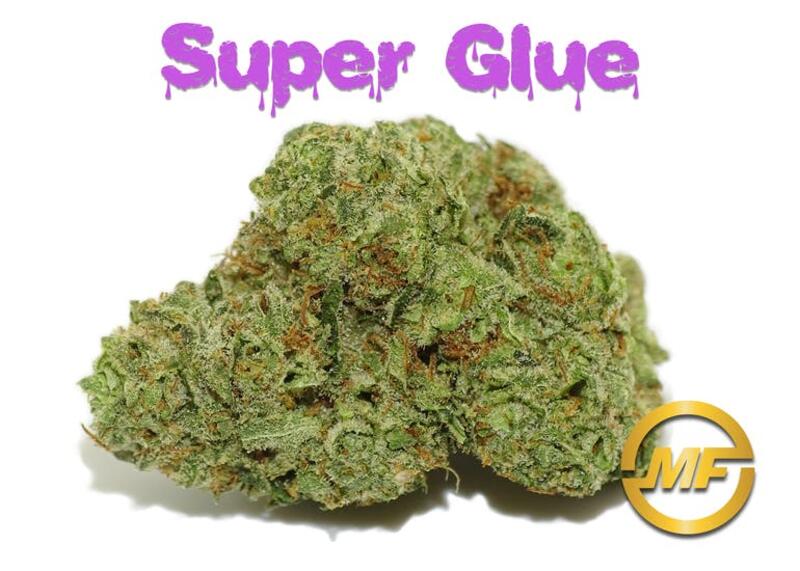 (REC) Super Glue