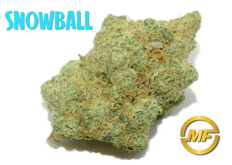 (REC) Snowball