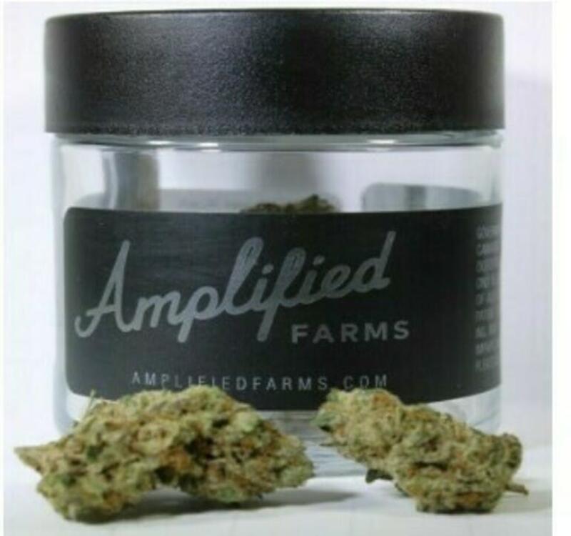 Amplified Farms - Carmichael Kush - 3.5g [Hybrid]