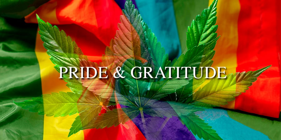 LGBTQ-owed Cannabis Companies Honor Pride Month