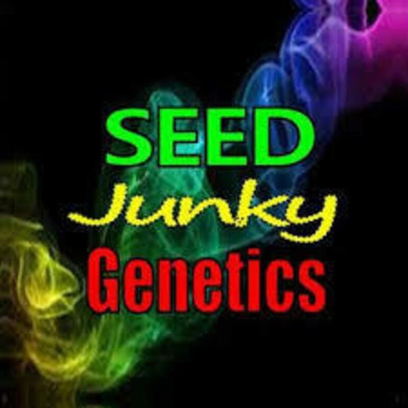 .Seed Junky Apple Sorbet