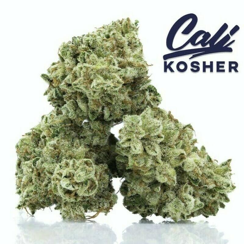 Cali Kosher | Cali Kosher - Flower - Lemon Bean - 3.5g