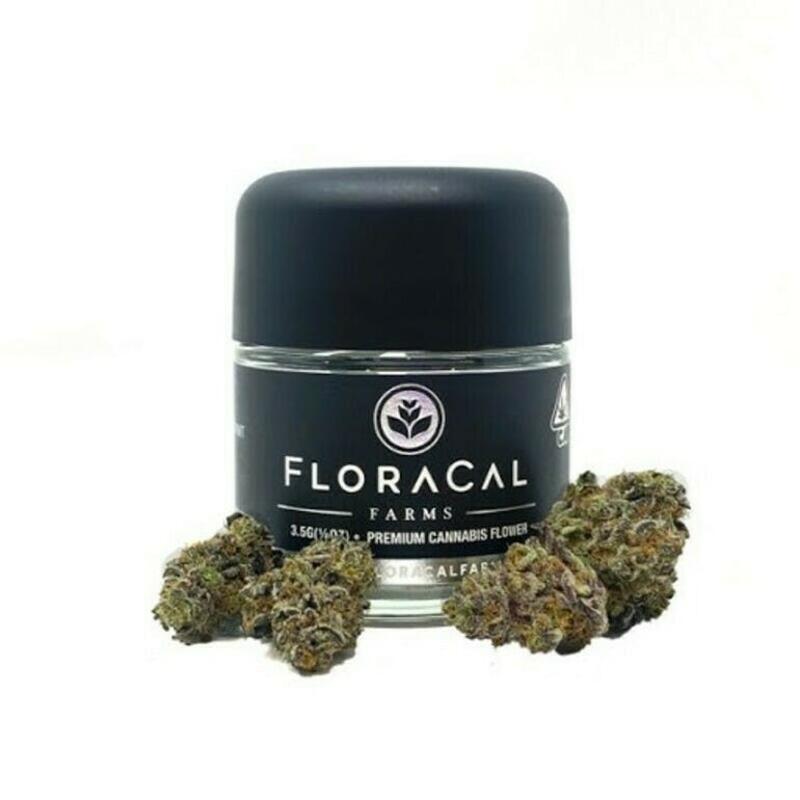 Floracal | Flora Cal - (3.5g) Muffin Z
