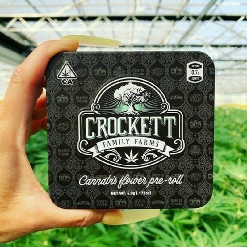 Crockett Family Farms | Crockett Farms - (5g) 7pk Preroll Chocolate Cherry