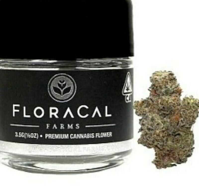 Floracal | Floracal - (3.5g) Kush Mints