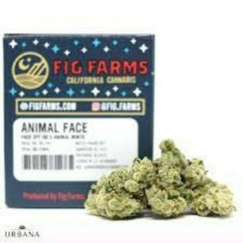 Fig Farms | Fig Farms 3.5g Animal Face