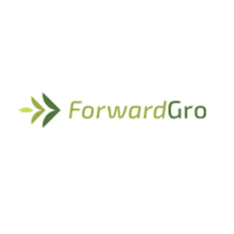 ForwardGro | Jack White | 3.5g