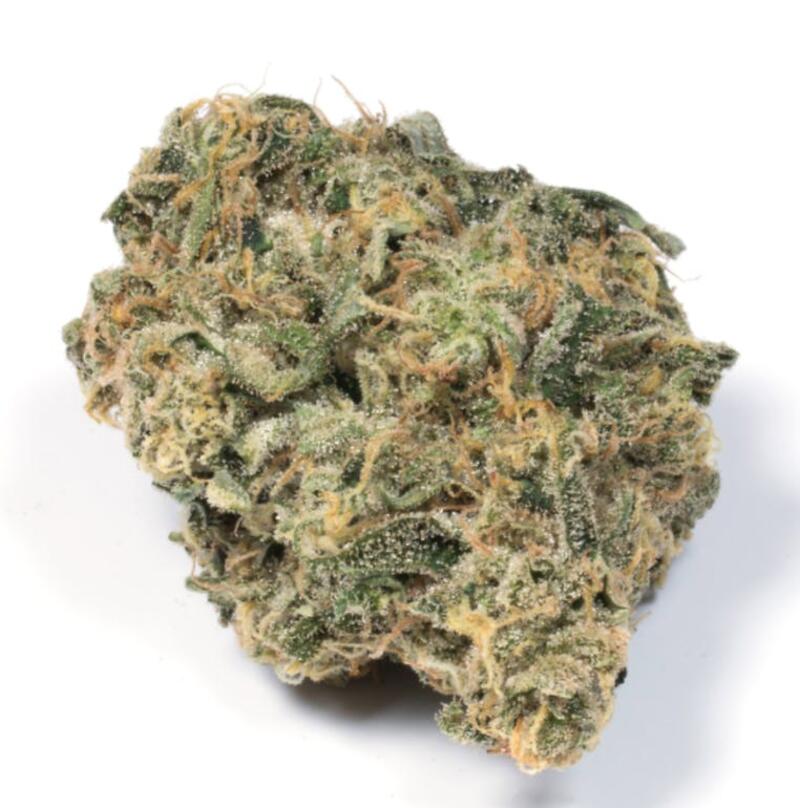 Durban Poison -OSAGE *TAX INCLUDED*
