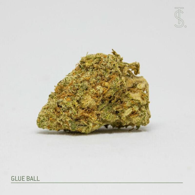Glue Ball