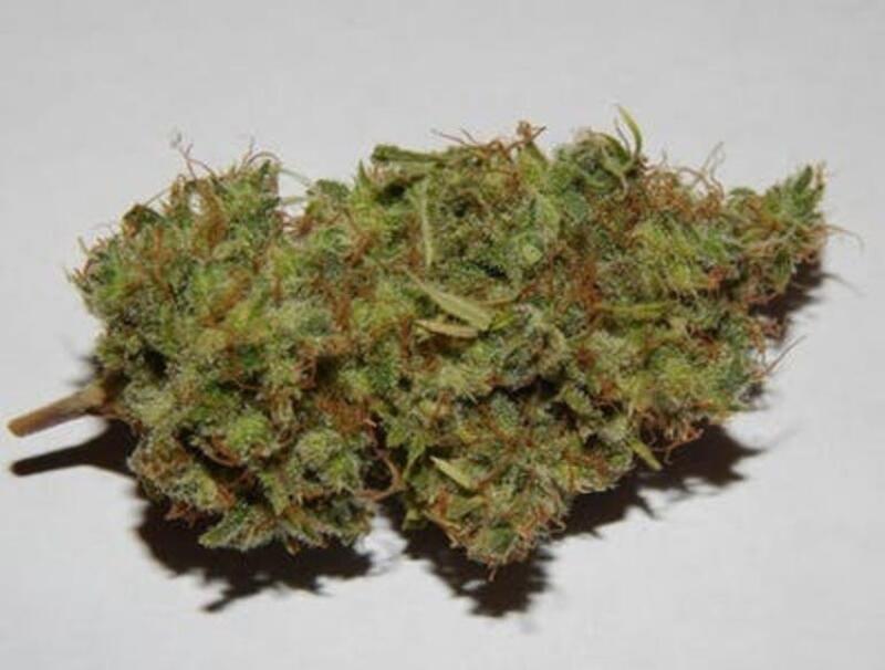 Jack Flash -Good Day Farms *TAX INCLUDED*