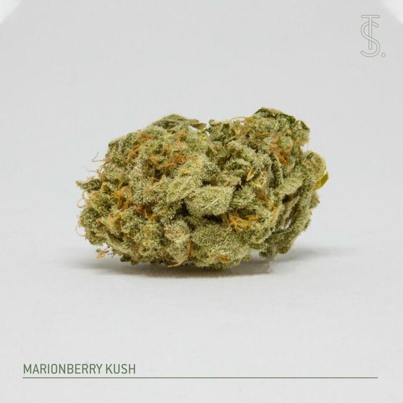 Marionberry Kush