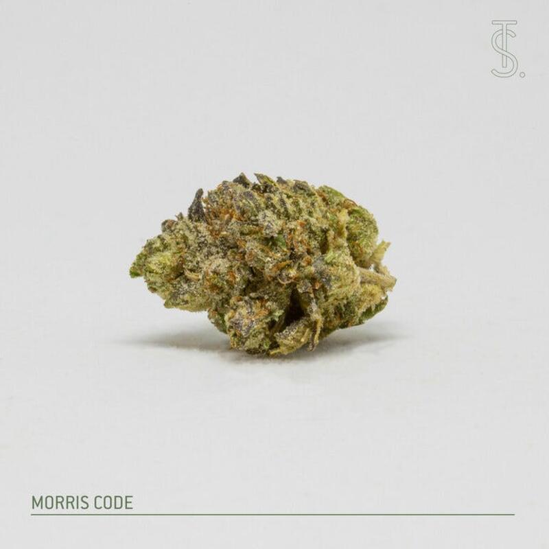 Morris Code