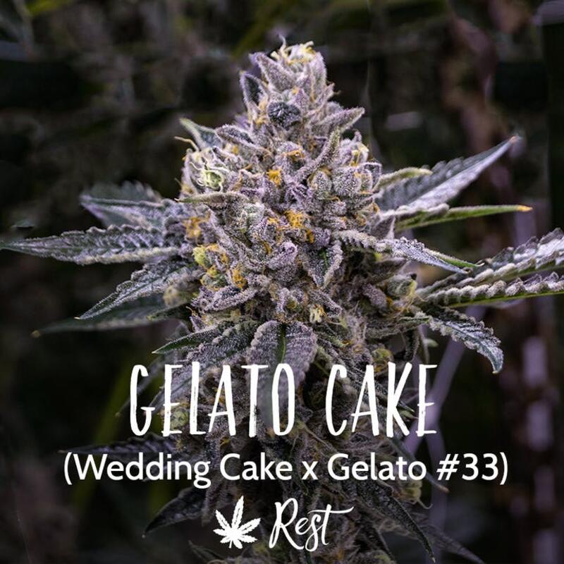 Gelato Cake (Medical)