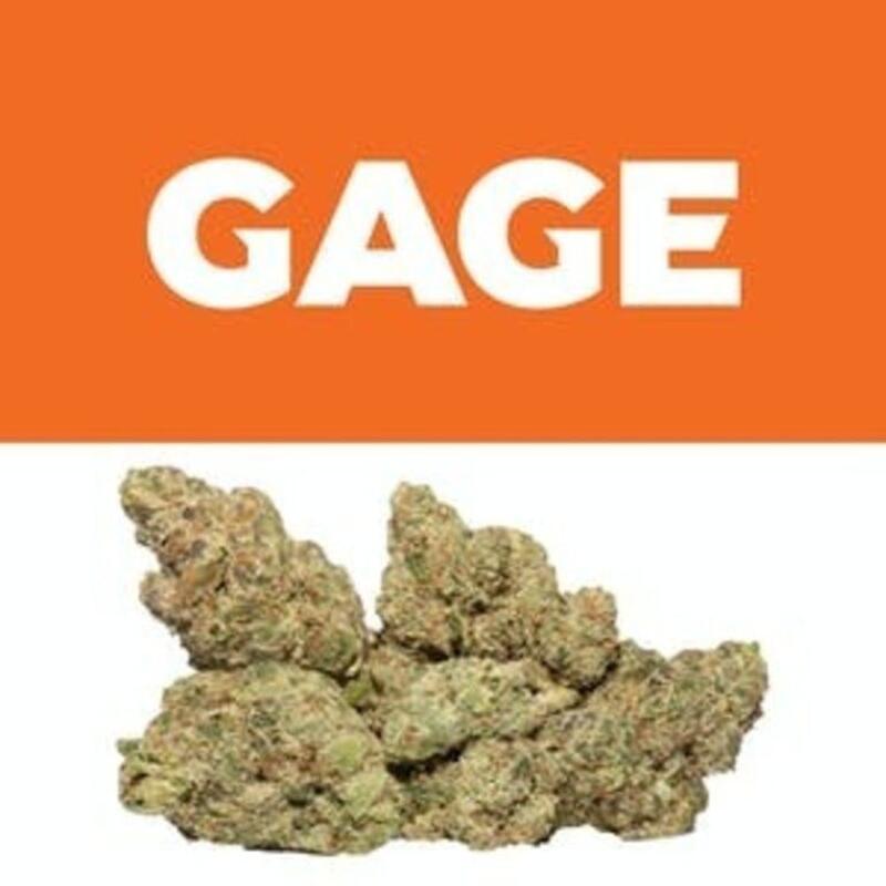 Ghost Cookies | Gage (MED)