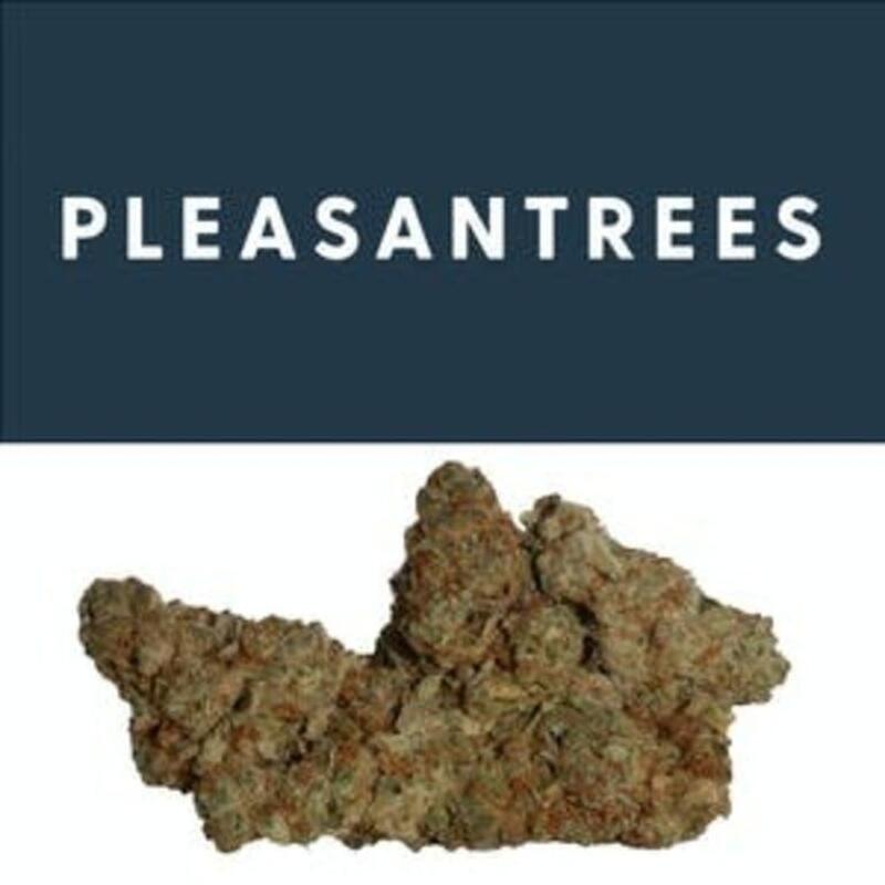 Creamsicle | Pleasantrees (MED)