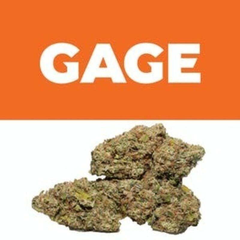 Gaseous Clay | Gage (MED)