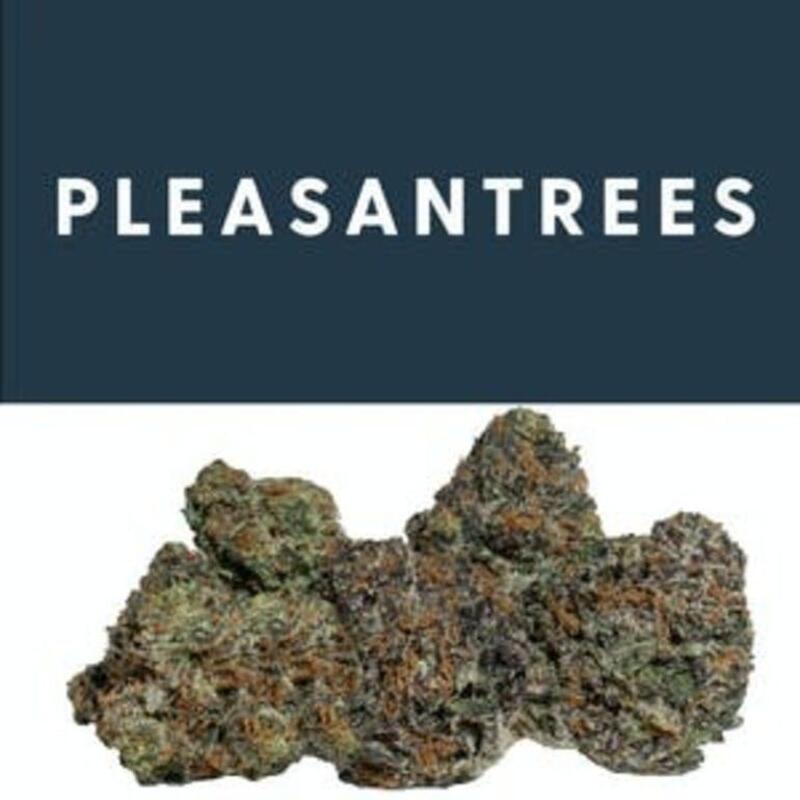 Candy Pebbles | Pleasantrees (MED)