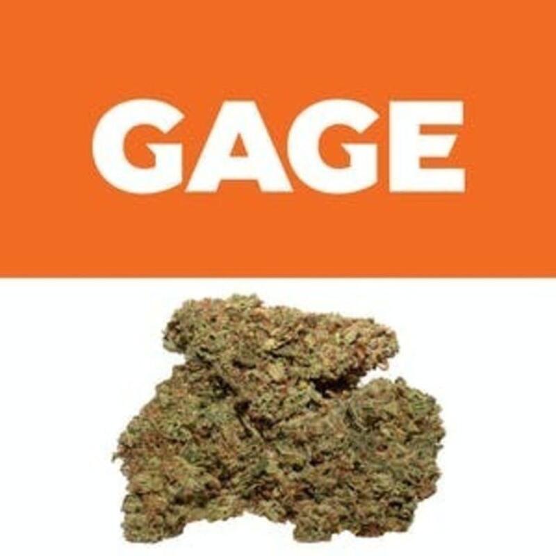 Eastside Glue | Gage (MED)