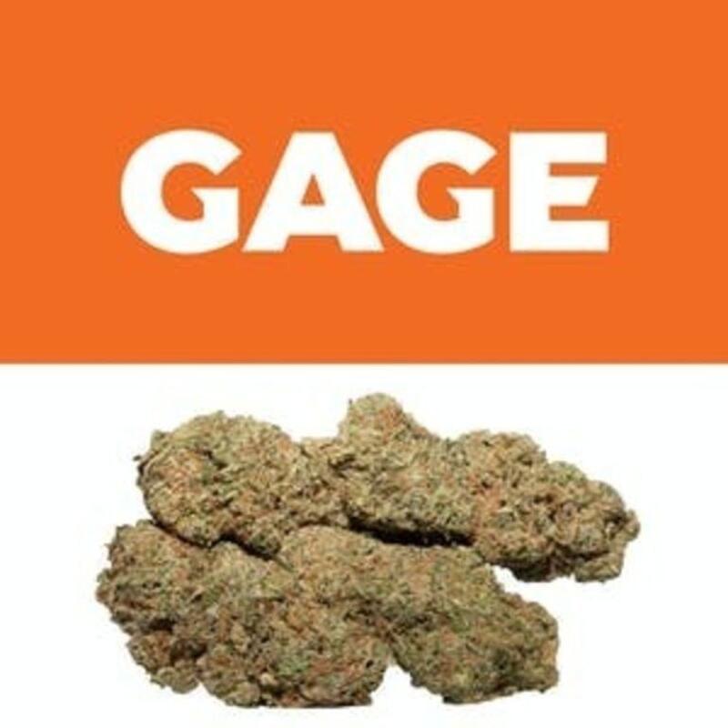 24K | Gage (MED)