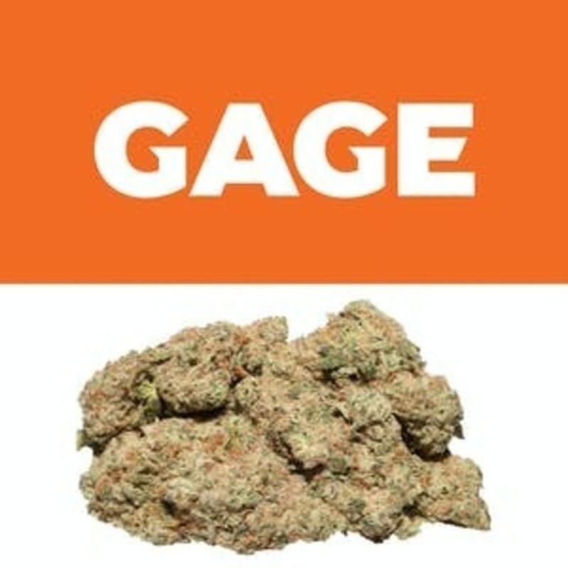 Front Nine OG | Gage (MED)