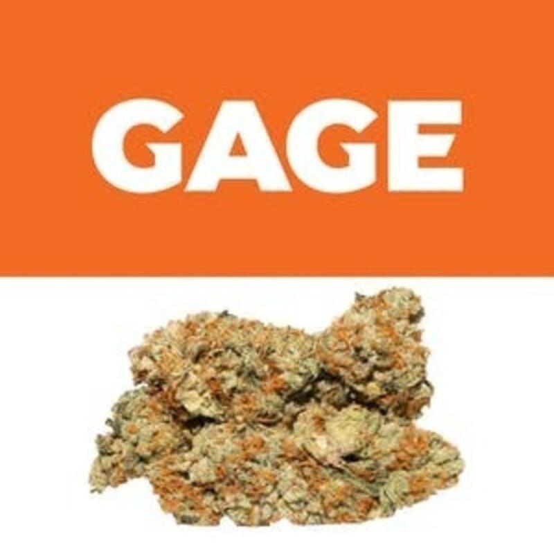 Eastside Cookies | Gage (MED)