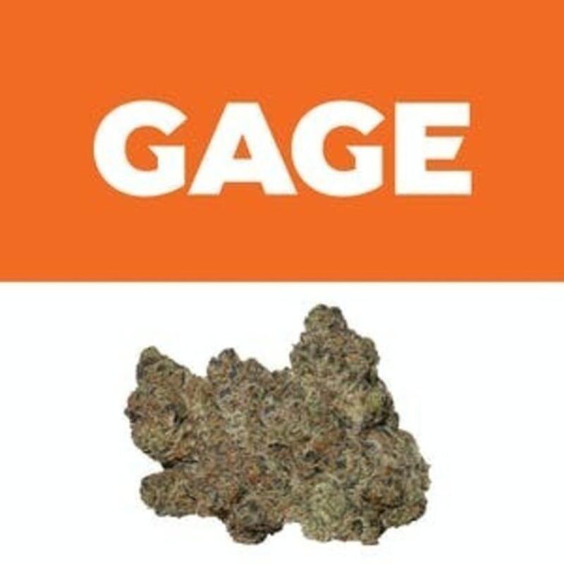 Forum Cookies | Gage (MED)