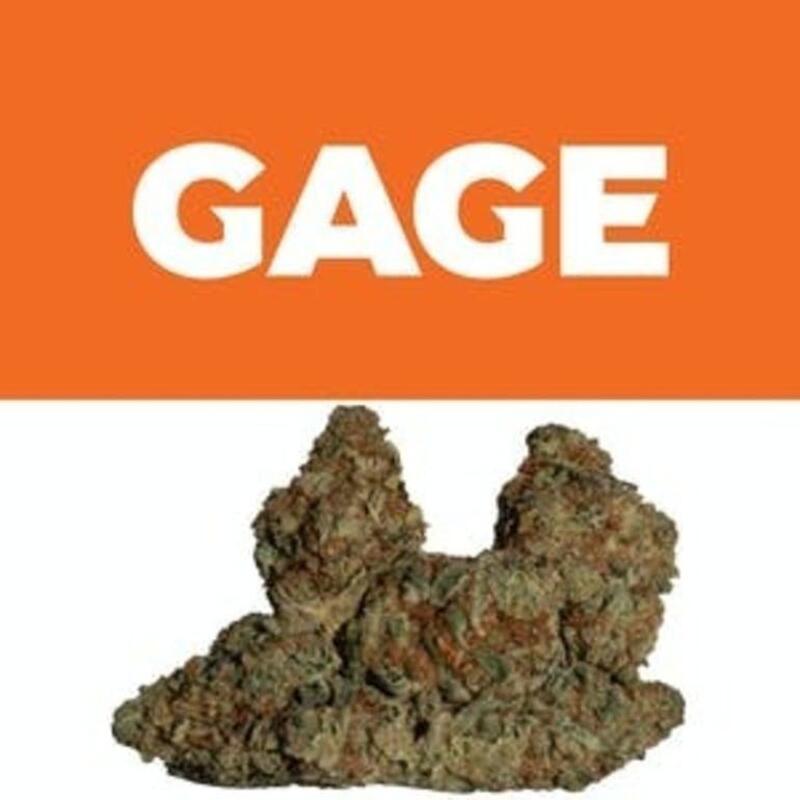 Citrus Sap #1 | Gage (REC)