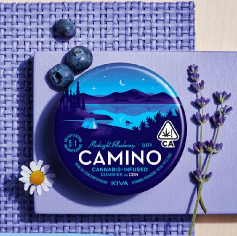 Camino - Midnight Blueberry - 100mg