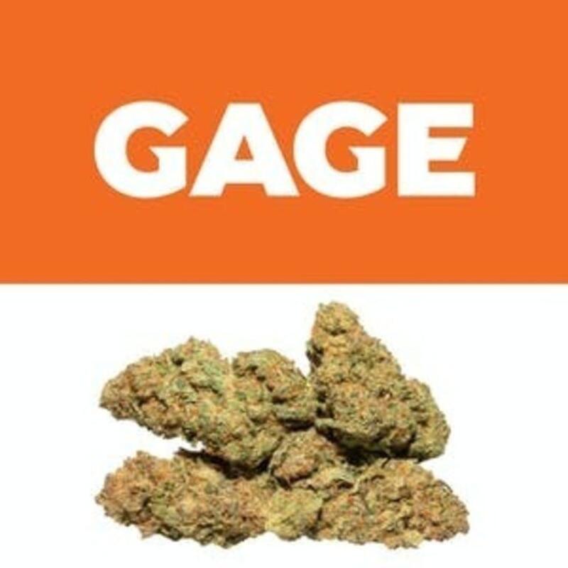 Chemdog 91 | Gage (MED)