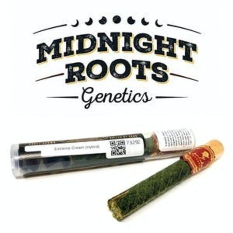 Extreme Cream Slim Migar | Midnight Roots