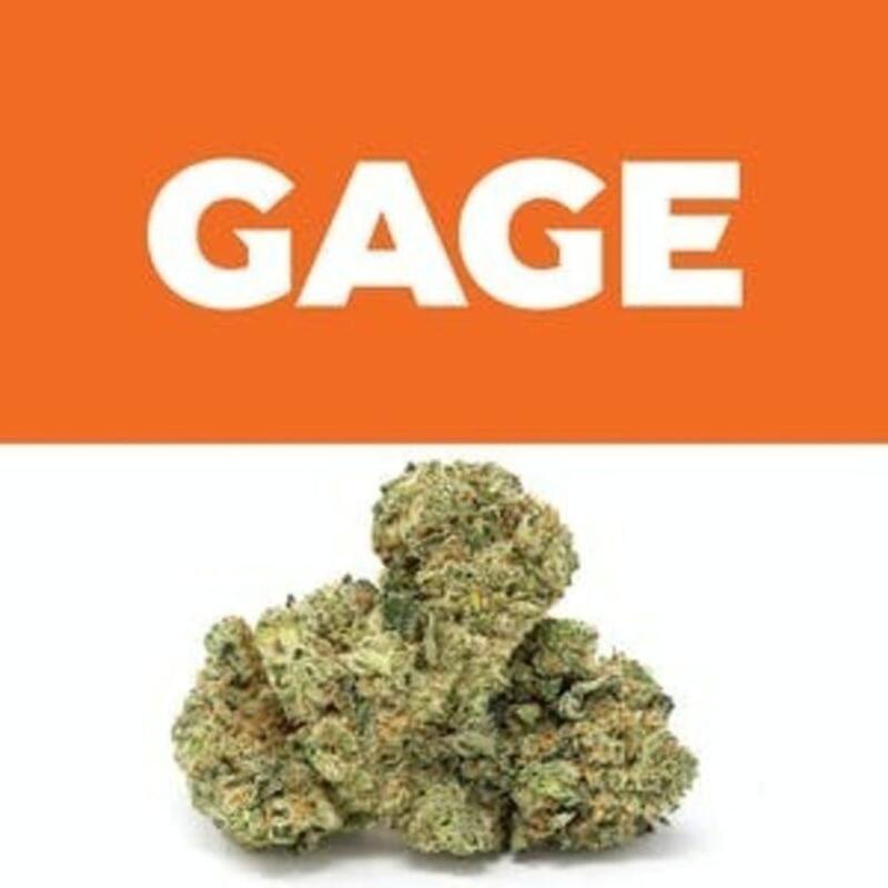 Grease Monkey #1 | Gage