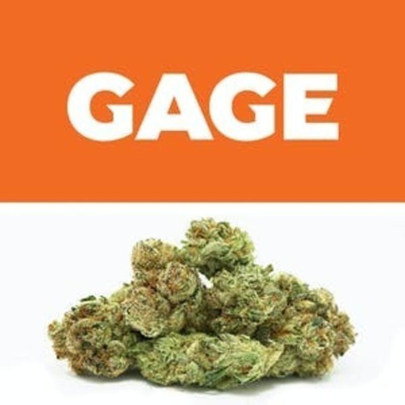 Heavy Tricomb OG | Gage