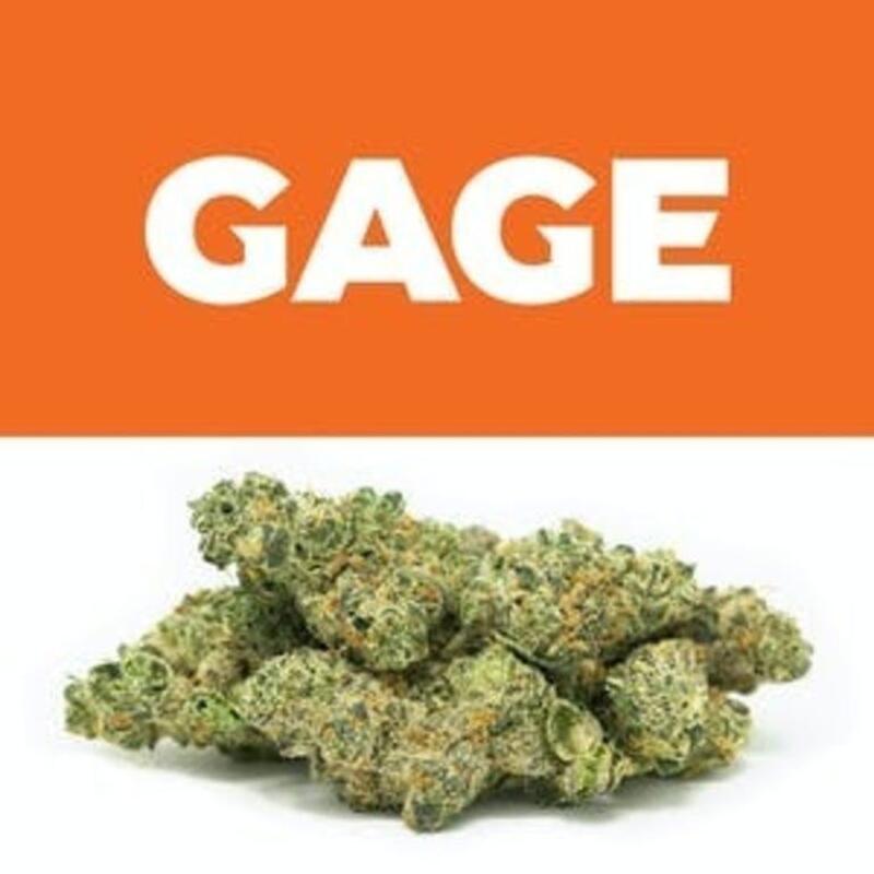 GMO | Gage