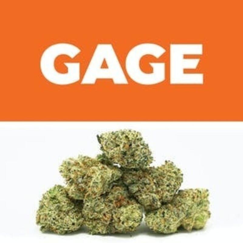 Donkey Butter 9 | Gage