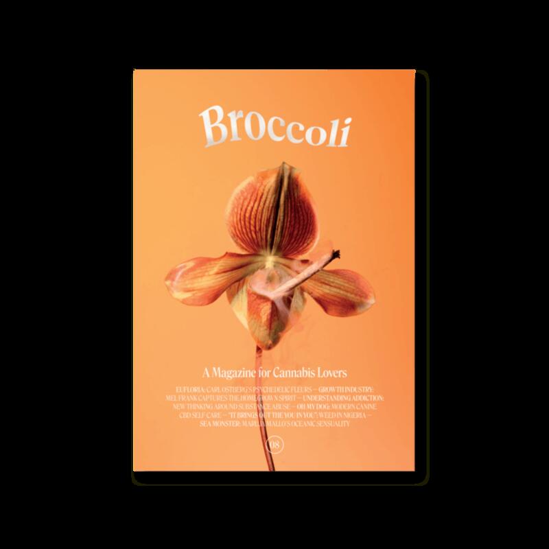 Broccoli Magazine Issue 8