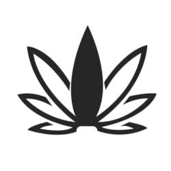 Allegany Medical Marijuana Dispensary