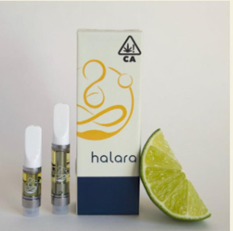 Halara - Citrus Blonde - 1gr