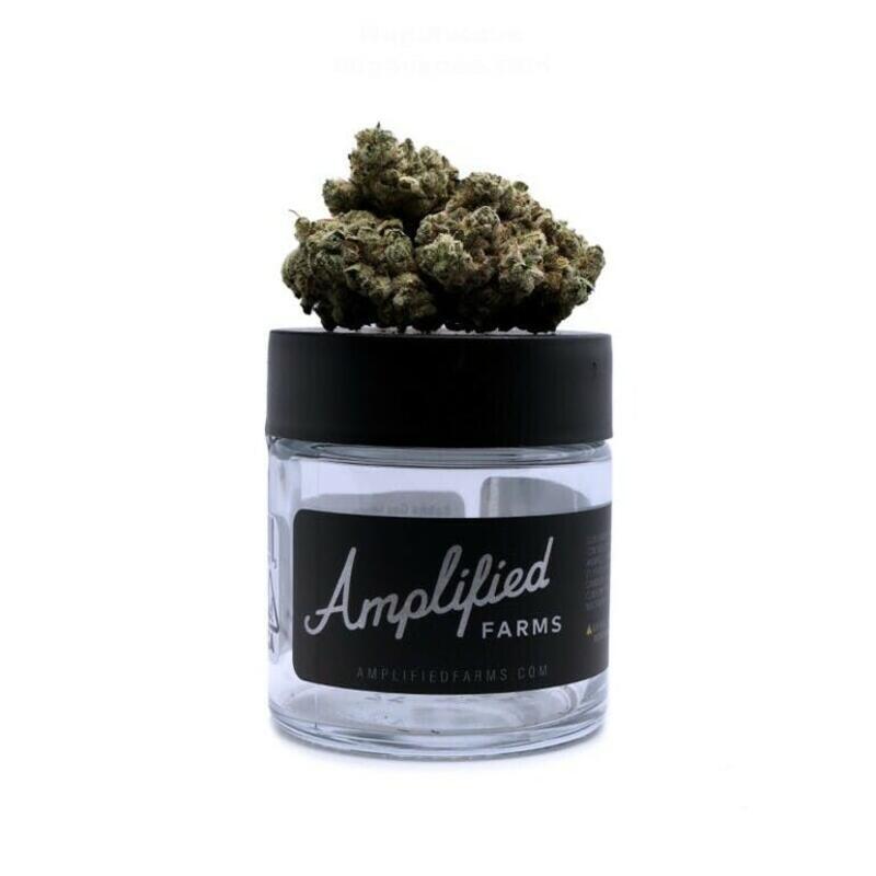 Amplified Farms | 3.5G- Bubba Gas Mints