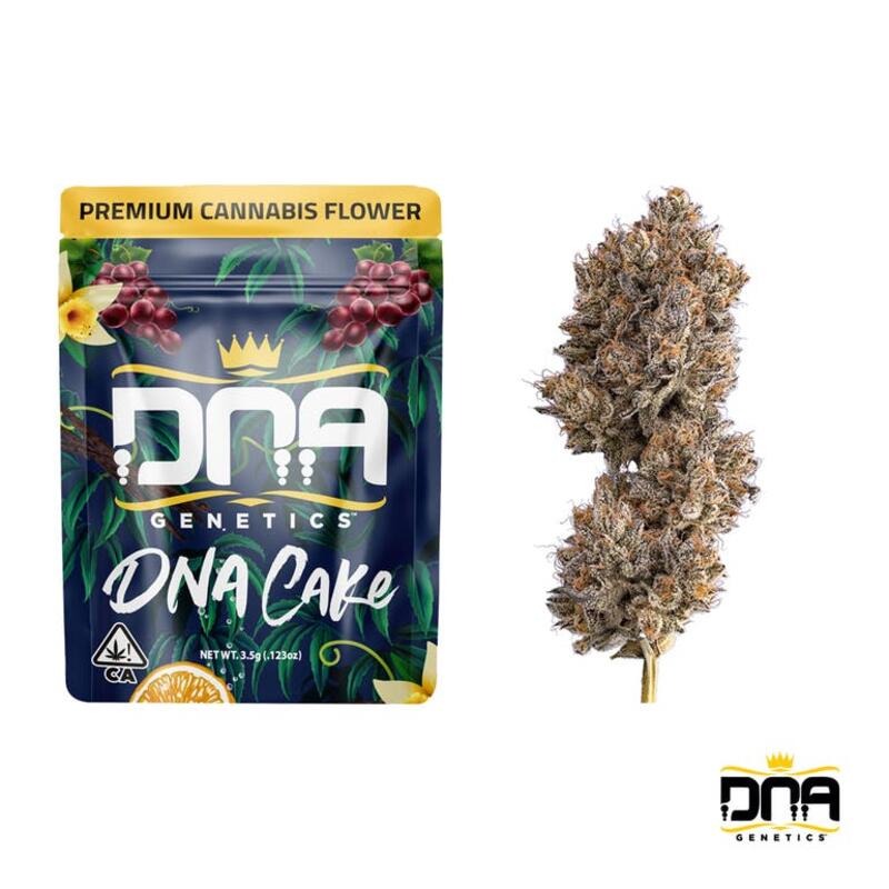 DNA Cake