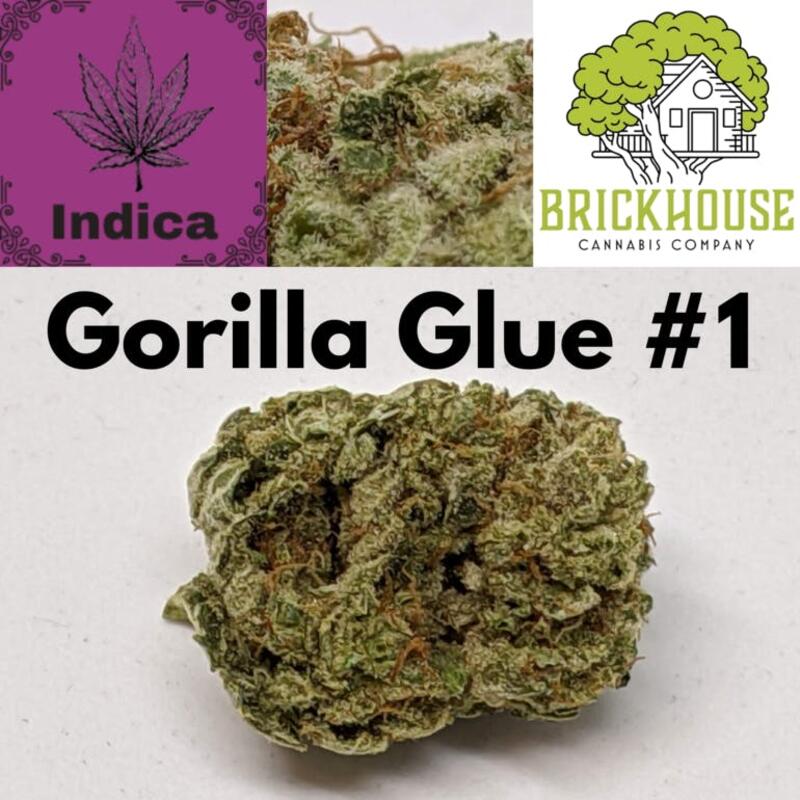 Gorilla Glue #1