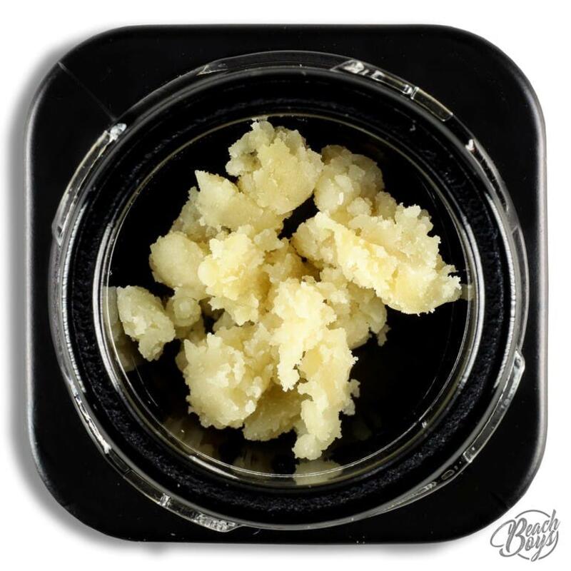 I-95 x Ghost Cookies Live Rosin 1g - Other Level Gardens