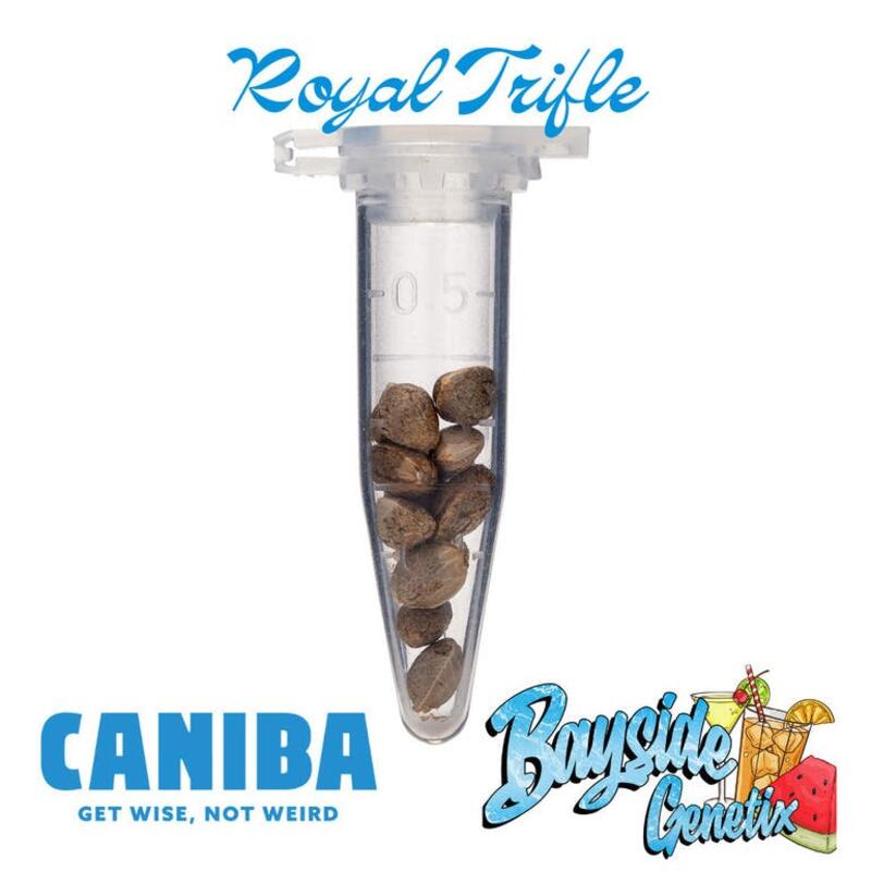 Royal Trifle Seeds - 6pck (Bayside Genetix)