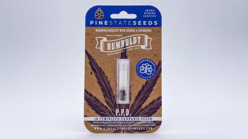 Feminized Seeds. 10 Pack. P.P.D. Pine State Seeds