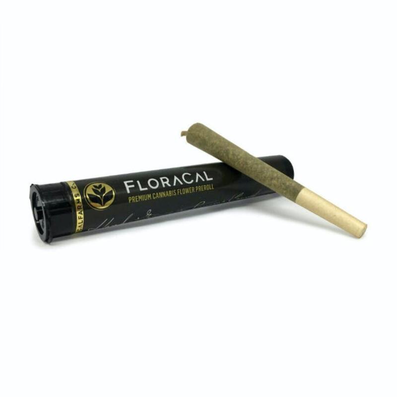 FloraCal | Floracal | Sugar Pine 2g Infused Preroll