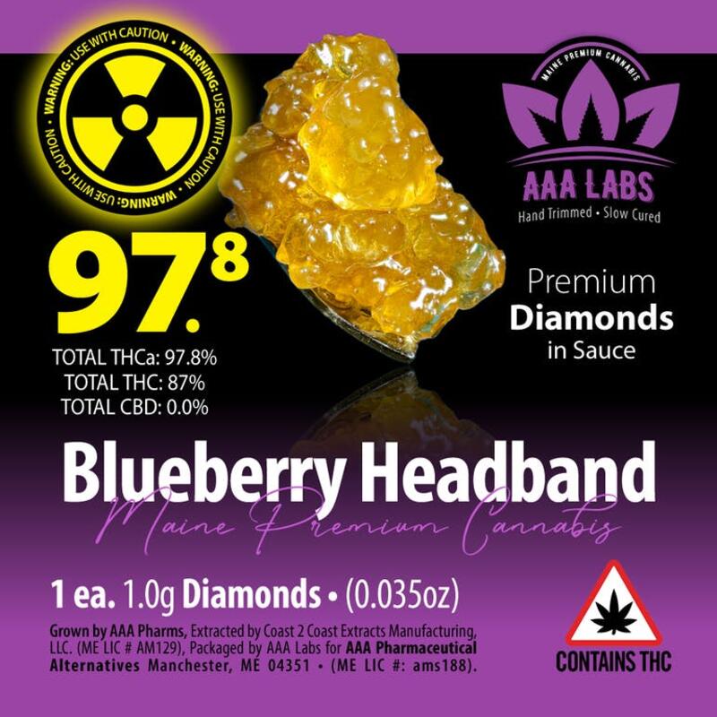 Blueberry Headband Premium Diamonds in Sauce