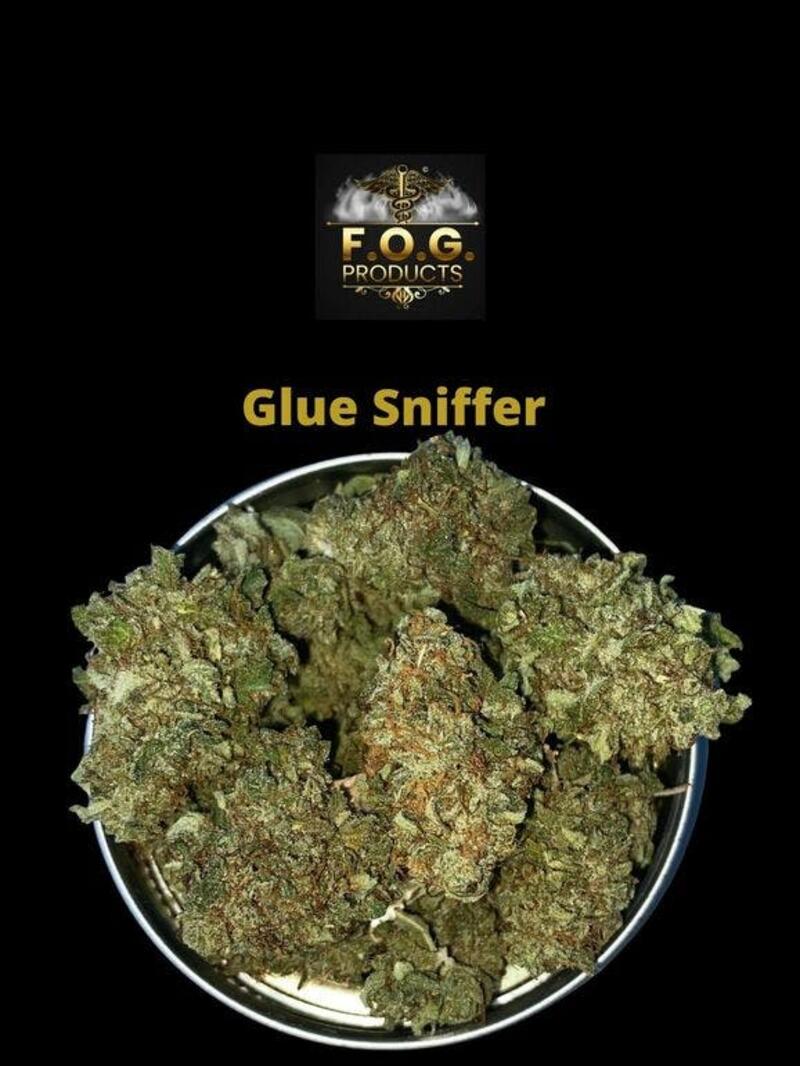 Glue Sniffer( smaller buds) (Indoor)