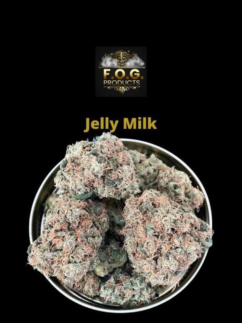 Jelly Milk (Indoor)