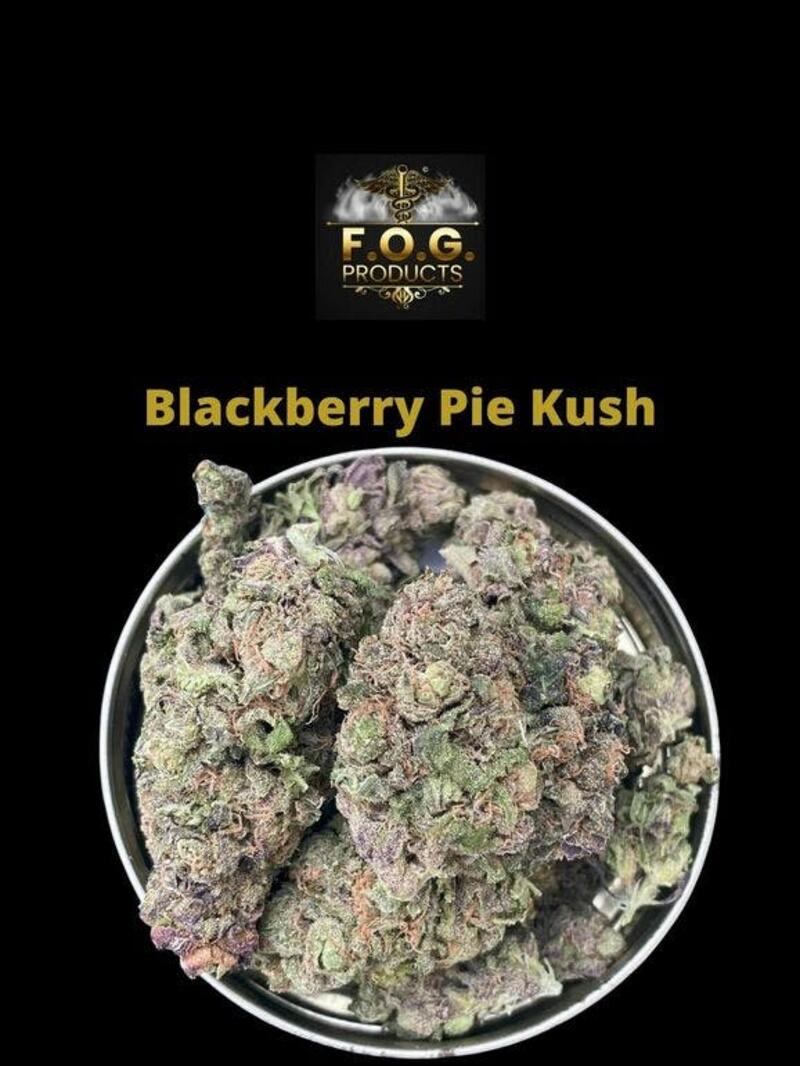 Blackberry Pie Kush (Indoor)
