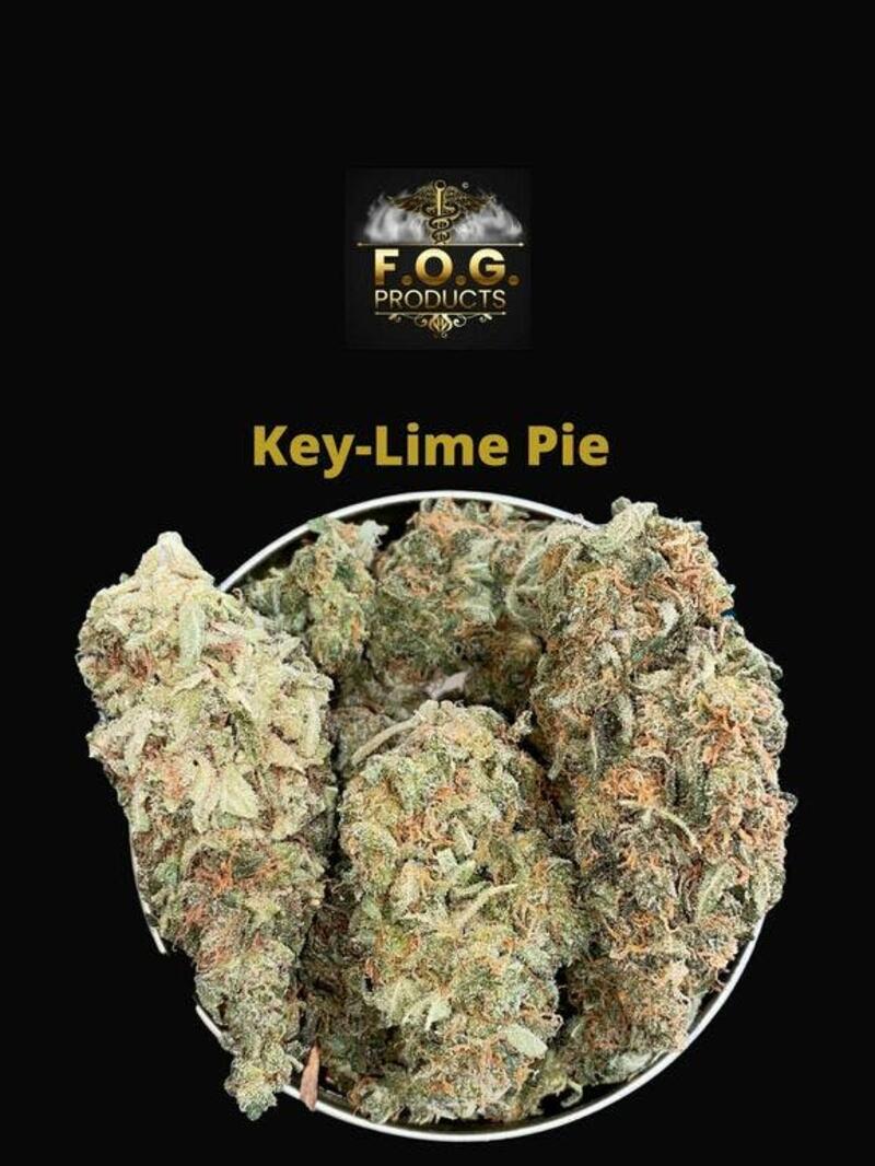 Key-Lime Pie (Indoor)